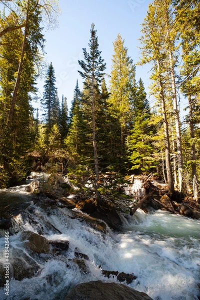 Obraz Mountain River