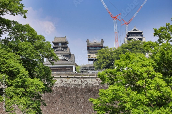 Fototapeta 熊本城（熊本地震被災後）