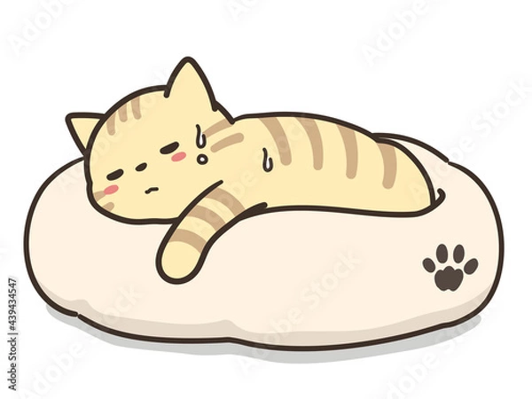 Obraz 体調不良のトラ猫　ペットベッド