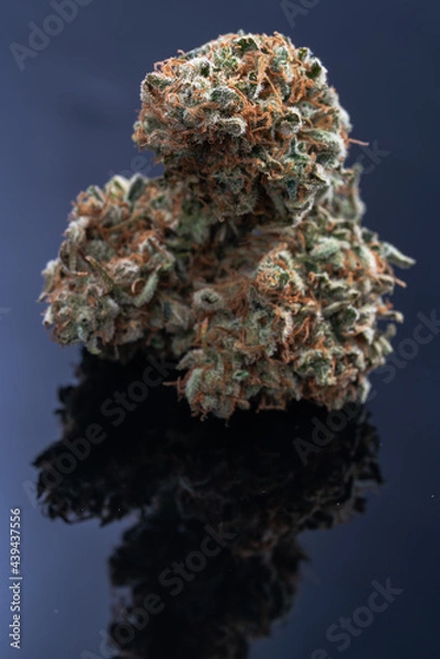 Obraz Cannabis Flower Macro - Strain: Clementine 4