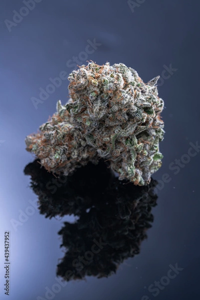 Obraz Cannabis Flower Macro - Strain: Colorado Clementine
