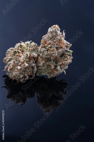 Obraz Cannabis Flower Macro - Strain: Crippy