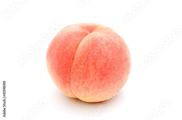 Obraz Brządzy Biały Back