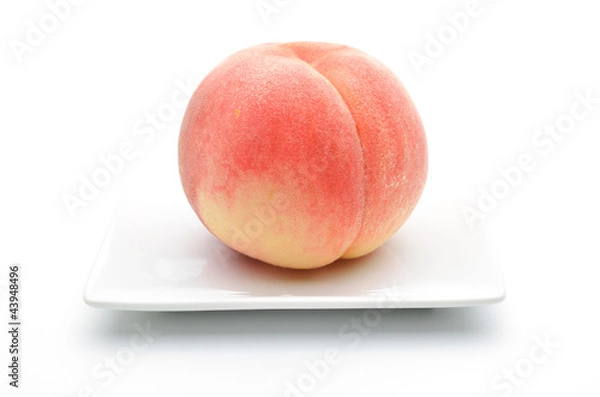 Obraz 桃　白バック