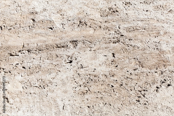 Obraz Shelly limestone panel, seamless texture