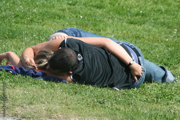 Obraz amoureux sur l'herbe
