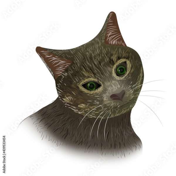 Obraz portrait of a cat with expressive eyes and fur
