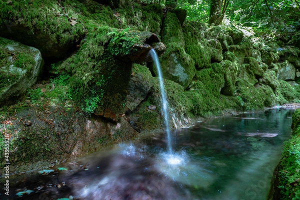 Obraz water spring in a small pond. Sintra Portugal