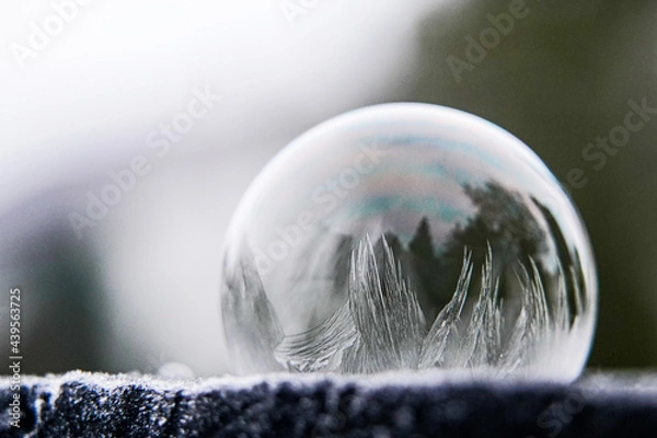 Fototapeta gefrorene Seifenblase 2