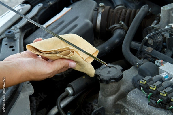 Obraz Auto mechanic checking oil