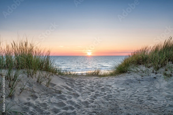 Fototapeta Sand dunes on the beach at sunset