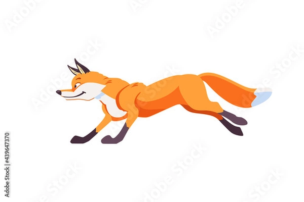 Fototapeta Cartoon fox jumps and running. Cheerful, festive, jubilant emotions in the fox. Vector illustration isolated on white background