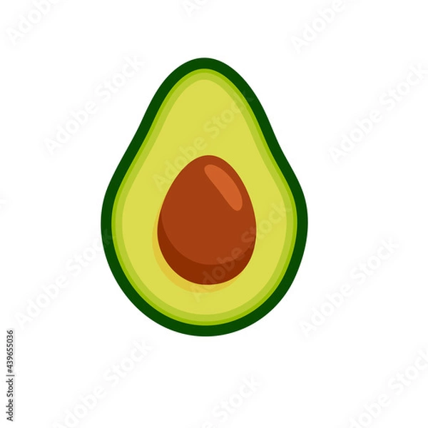 Obraz Avocado. Vector illustration for design.