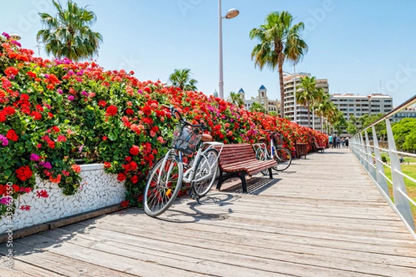 Obraz Bridge of Flowers in Valencia Spain