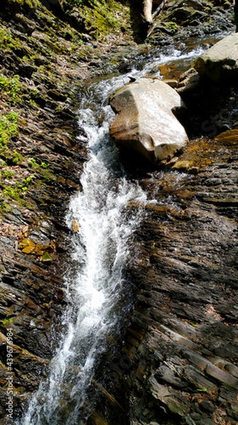 Obraz waterfall in the forest