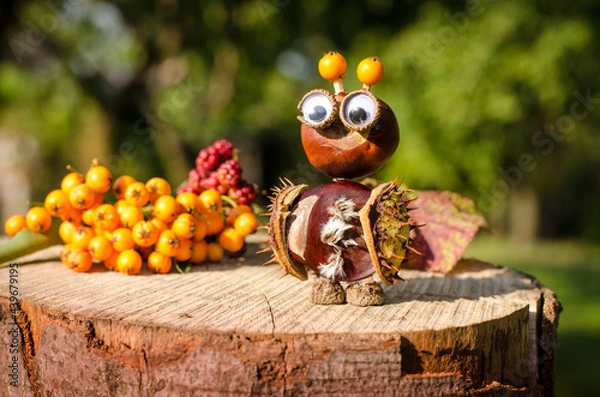 Obraz creative ideas from autumnal fruit and berries, diy autumn craft