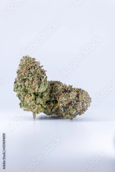 Obraz Cannabis Flower Macro - Strain: G13