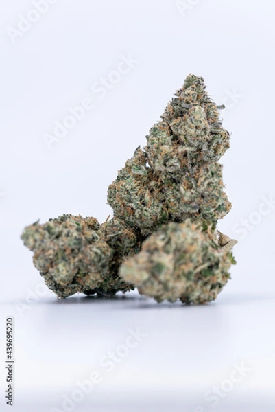 Fototapeta Cannabis Flower Macro - Strain: Cement Shoes