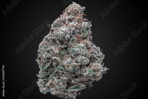 Obraz Cannabis Flower Macro - Strain: Chem