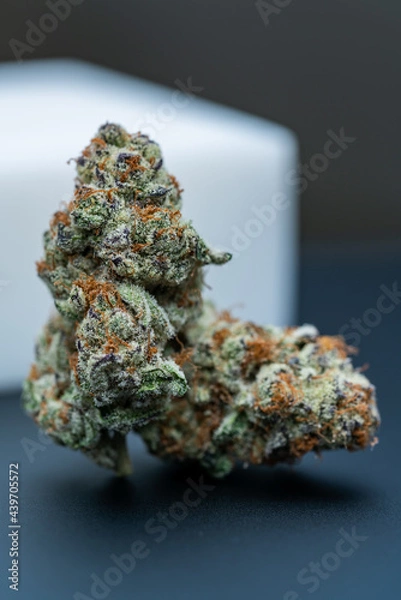 Obraz Cannabis Flower Macro - Strain: Punch Breath