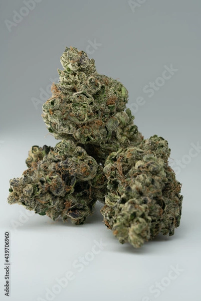 Obraz Cannabis Flower Macro - Strain: Ice Cream Cake