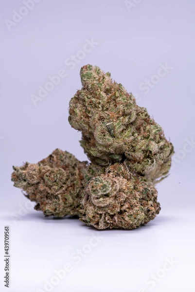 Obraz Cannabis Flower Macro - Strain: Duct Tape