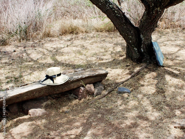 Fototapeta FORGOTTEN HAT