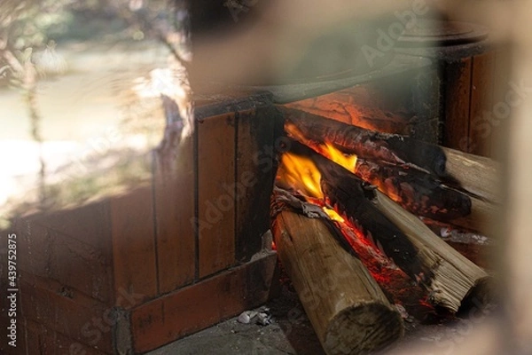Obraz wood burning in a fireplace