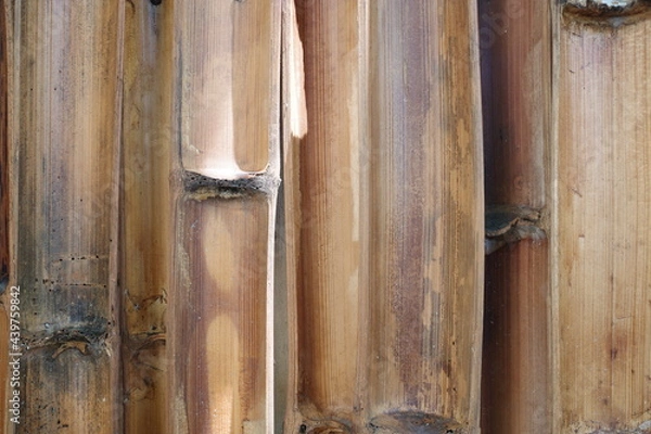 Obraz bamboo fence