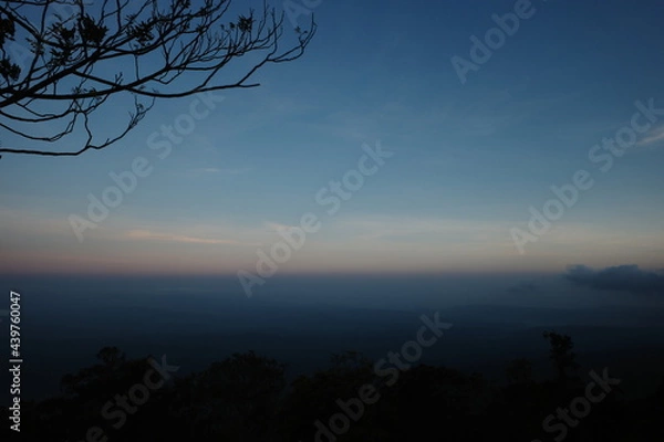 Obraz first light in the sky