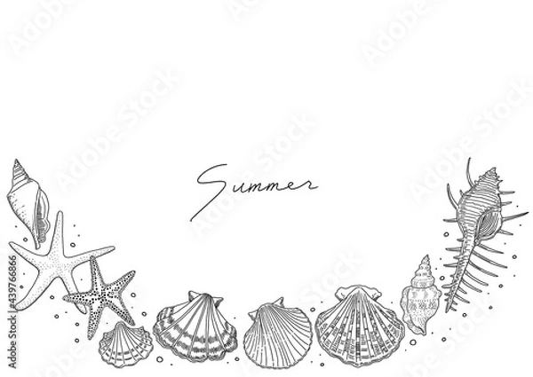 Obraz リアルな貝殻の線画　下フレーム　横長