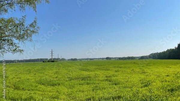 Fototapeta landscape