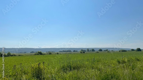 Fototapeta landscape