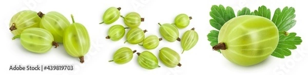 Fototapeta Green gooseberry isolated on white background. Set or collection