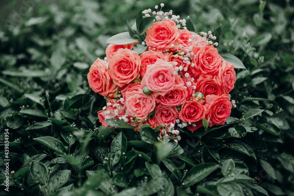 Fototapeta Bouquet of roses on a background of green leaves wet after the rain