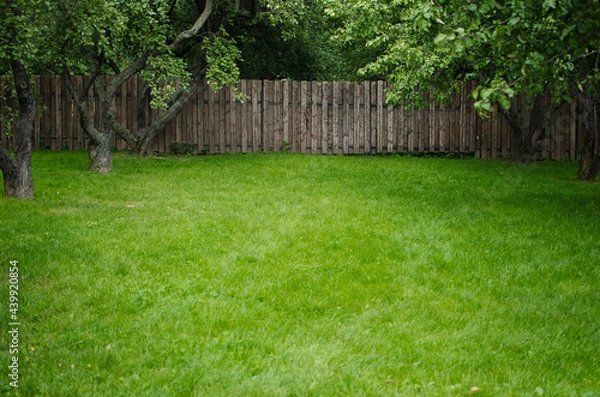 Fototapeta meadow with green grass and wooden fence in the distance. Natural background. Space for text