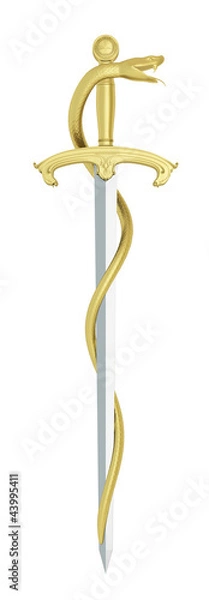 Obraz snake sword
