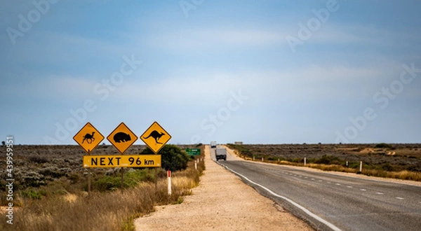Obraz Crossing notice for camels, wombats and kangaroos on Eyre Highway on the Far West Coast of South Australia near the Nullarbor roadhouse