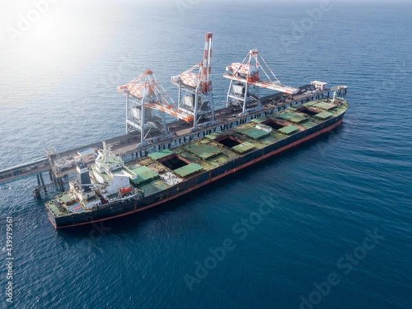 Obraz Bulk container ship unloads coal in the port of power station.