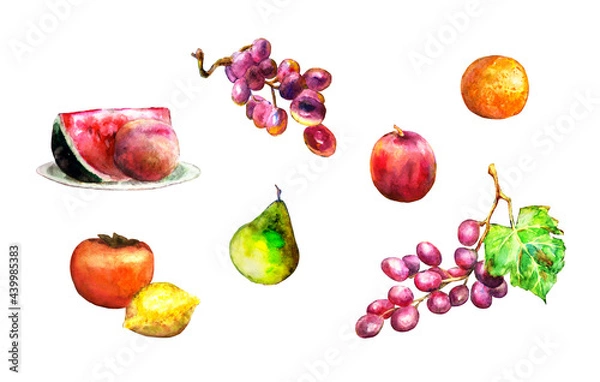 Obraz Watercolor fruits set. Colorful watermelon, peach, grapes, orange, persimmon, lemon, pear isolated on white background.