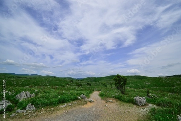 Obraz landscape with a road