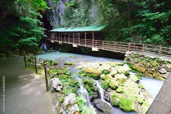 Obraz bridge in the park
