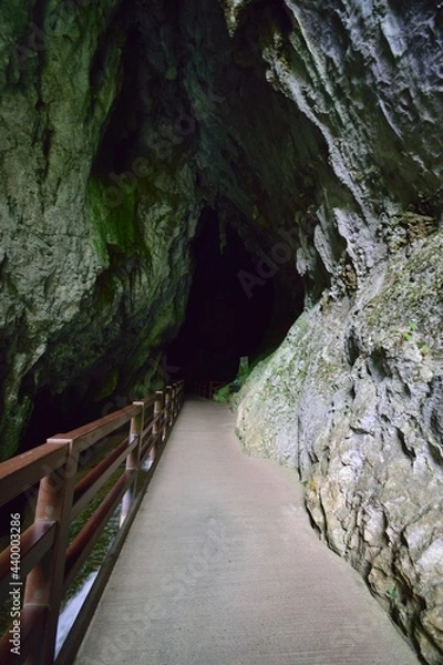 Obraz bridge over the river