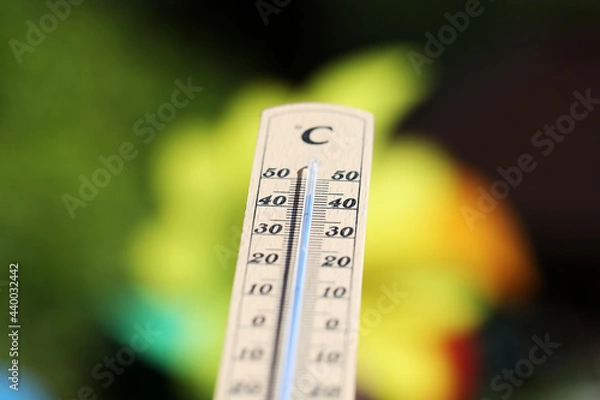 Fototapeta Thermometer shows high temperatures on a hot summer day