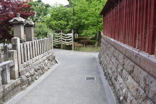 Fototapeta 日本　長野　観光名所　善光寺　夏の風景