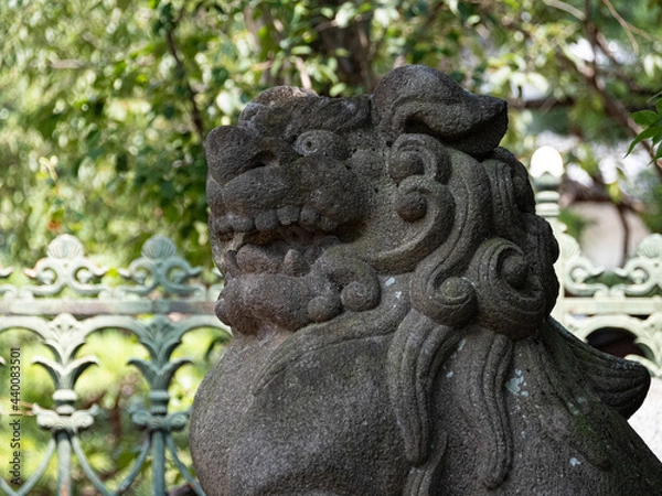 Fototapeta 狛犬