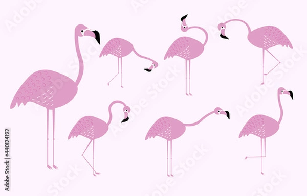 Obraz Flamingo collection. Flat design.
