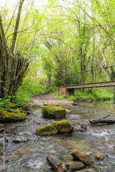 Fototapeta le petit pont perdu