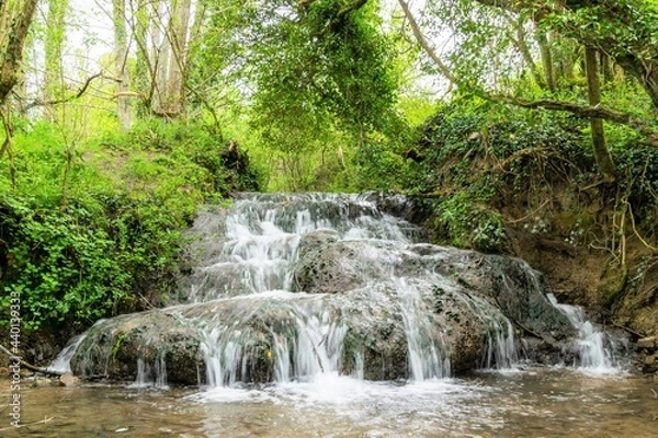 Fototapeta cascade dans le pays d'auge