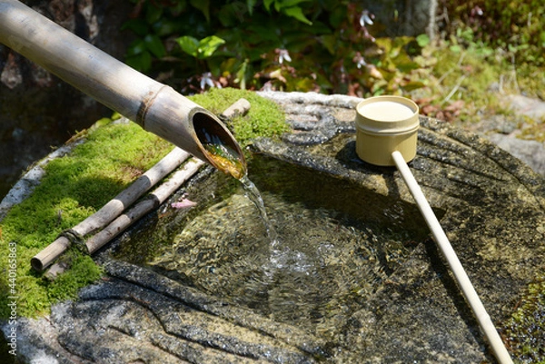 Fototapeta 高野山　金剛三昧院　手水鉢　和歌山県高野町